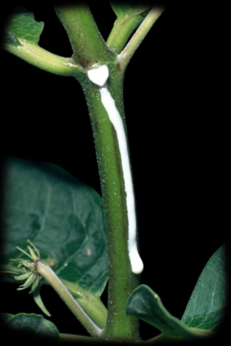 Molinete profesional medidor de caudal con hélice - miniatura 4